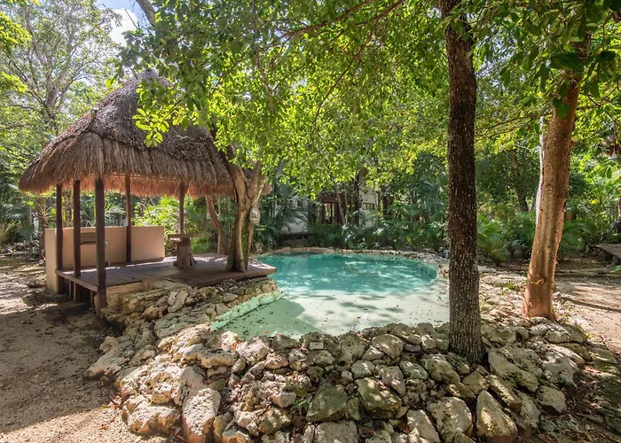 Luxury Jungle With Private Jacuzzi & Cenote Pool View Apartment Chemuyil