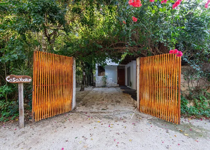 Luxury Jungle With Private Jacuzzi & Cenote Pool View Apartment Chemuyil