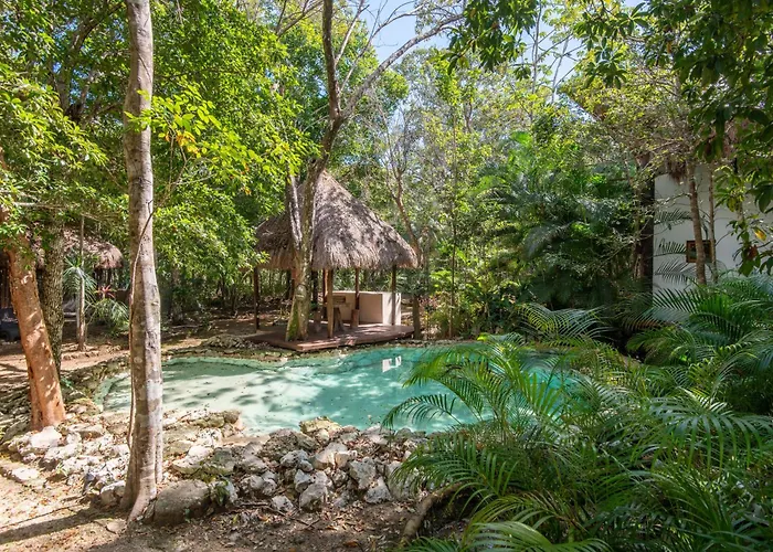 Luxury Jungle With Private Jacuzzi & Cenote Pool View