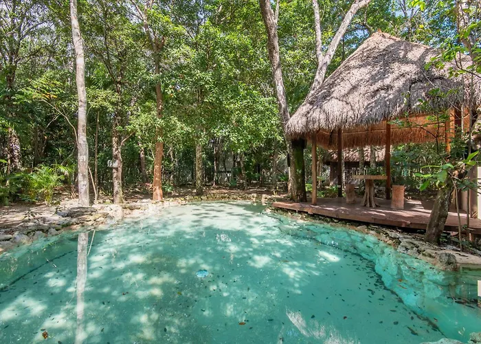 Apartment Luxury Jungle With Private Jacuzzi & Cenote Pool View *