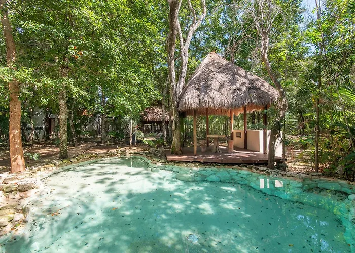 Luxury Jungle With Private Jacuzzi & Cenote Pool View Apartment Chemuyil